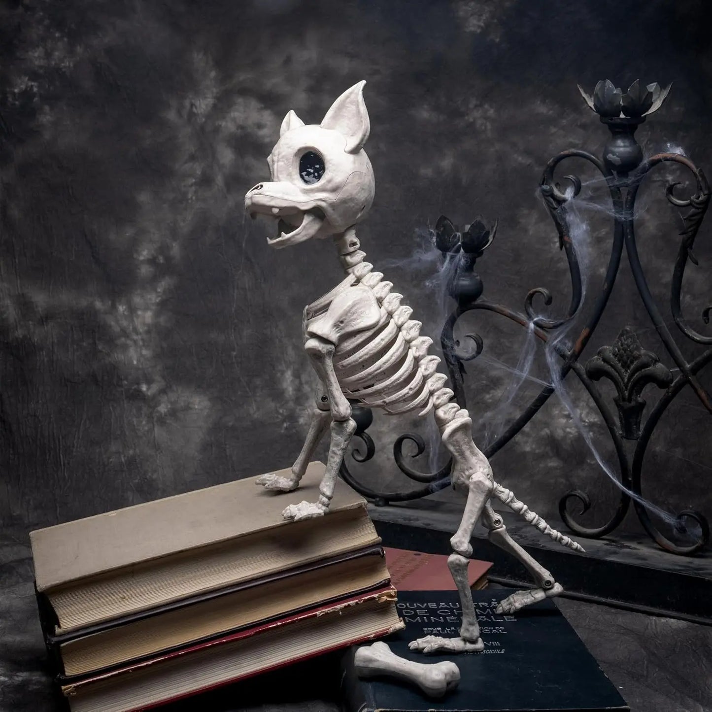 Nylon Chihuahua Dog Skeleton Halloween Decoration With Posable Joints