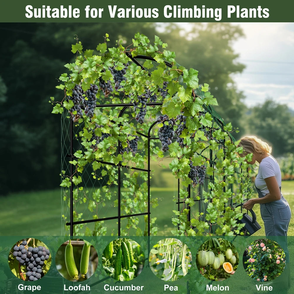 Wisfor U Shaped Metal Garden Trellis for Climbing Plants