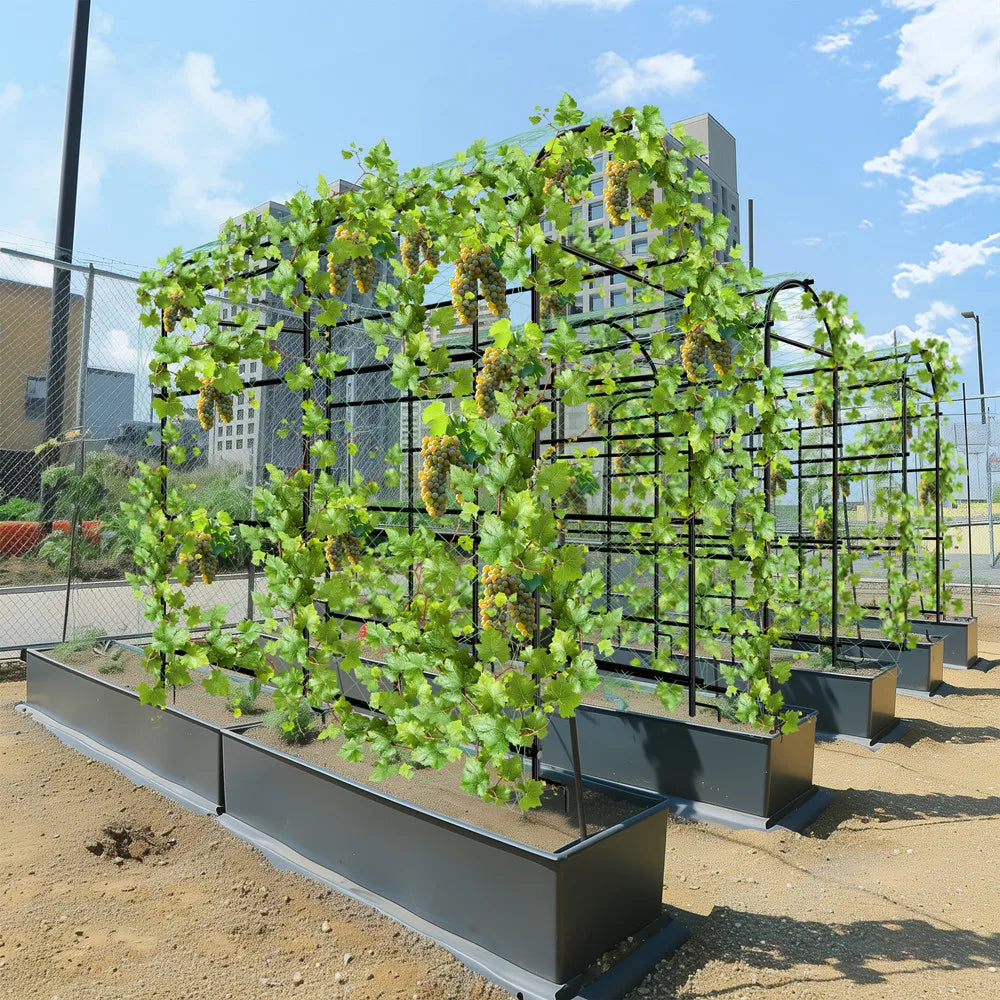 Wisfor U Shaped Metal Garden Trellis for Climbing Plants and Vegetables