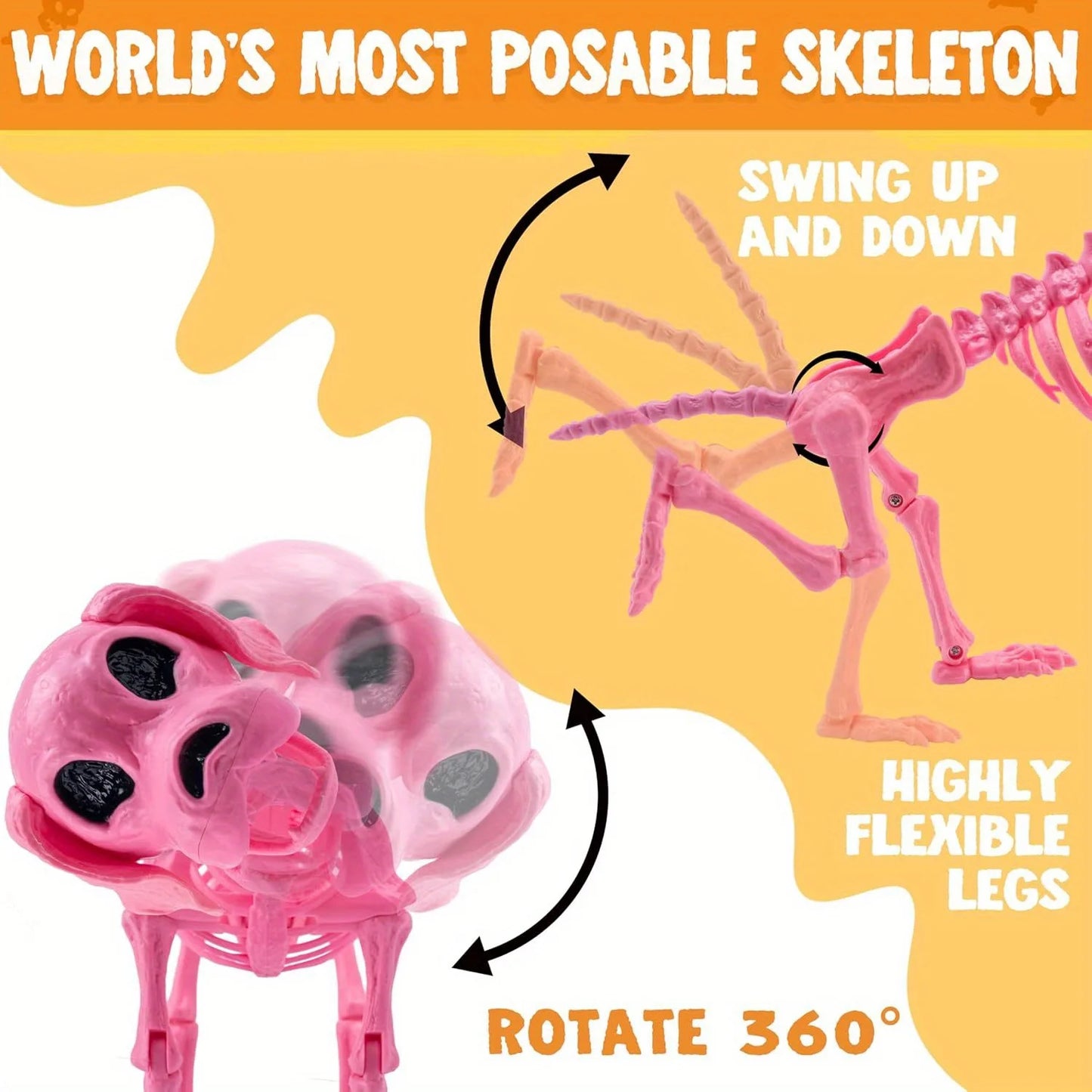 Posable Halloween Dog Skeleton Full Body Posable Joints Skeleton Puppy for Indoor Outdoor Skeleton Decorations Graveyard Party Haunted House Party Decor(9.8" X 4.7" X 12.6")