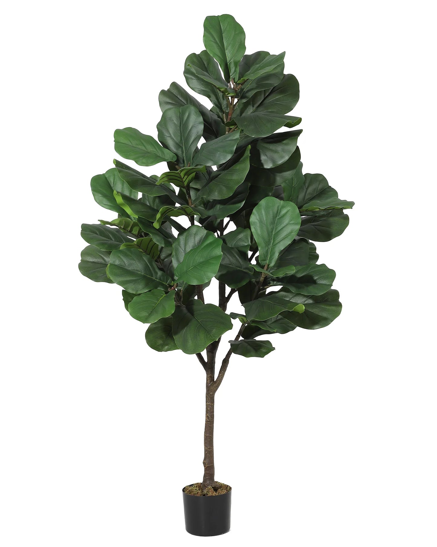 4/5/6 FT Artificial Fiddle Leaf Fig Tree with Lifelike Leaves,Large Faux Plant, Tall Fake Ficus Lyrata Trees with Black Planter, Fake Floor Plants for Home Office Modern Decor